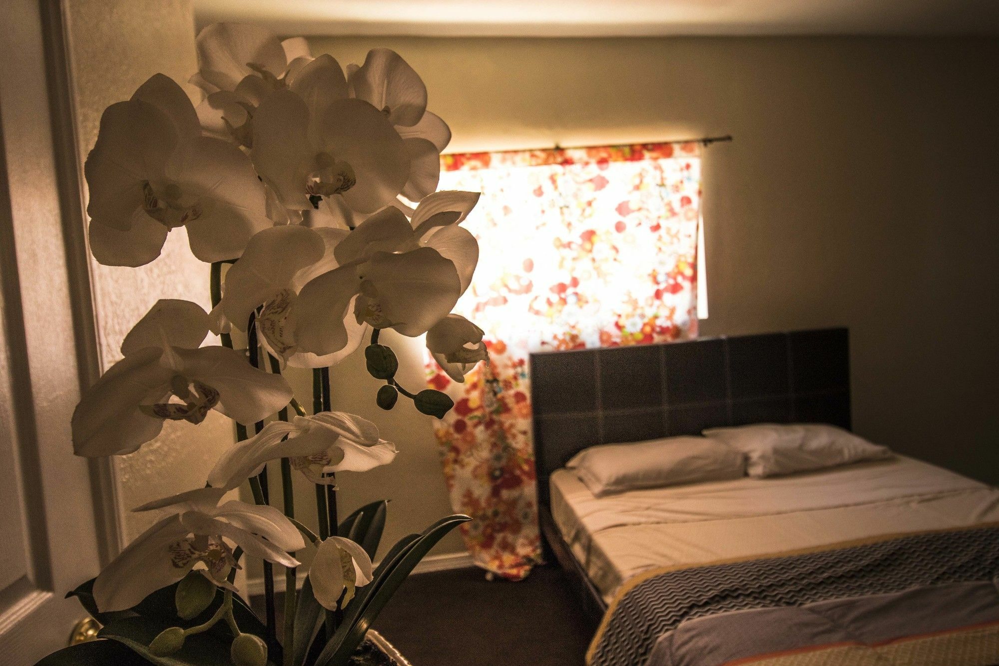 The Anderson Estates Hostel Los Angeles Bagian luar foto